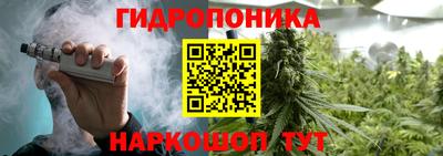 индика Коммунар