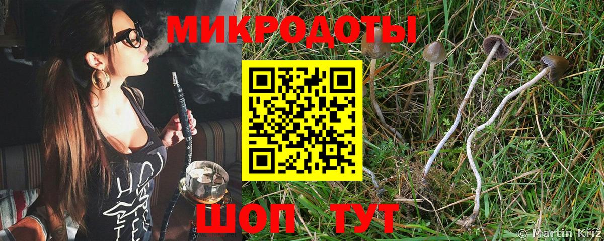 Калач-на-Дону  Псилоцибиновые грибы Cubensis  Вход с VPN 