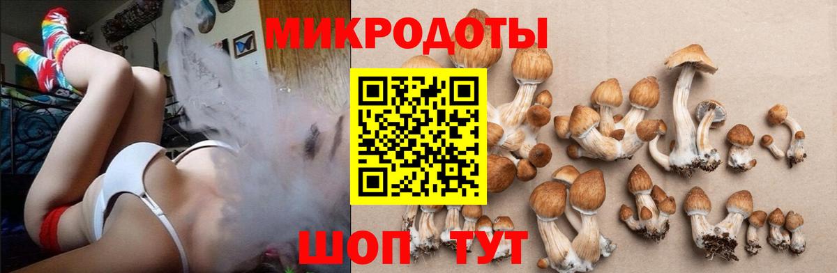 Галлюциногенные грибы ЛСД Калач-на-Дону